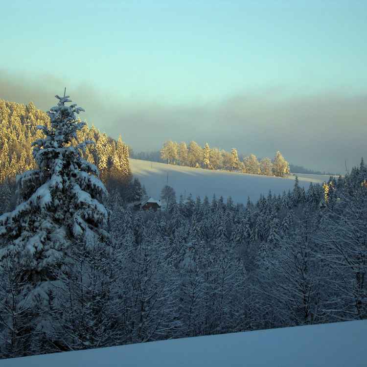 Winterlandschaft Schwarzwald