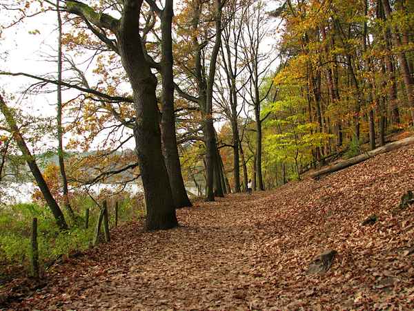 Herbst am Schlachtensee