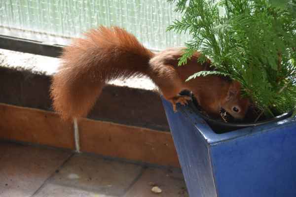 wer suchet,der findet