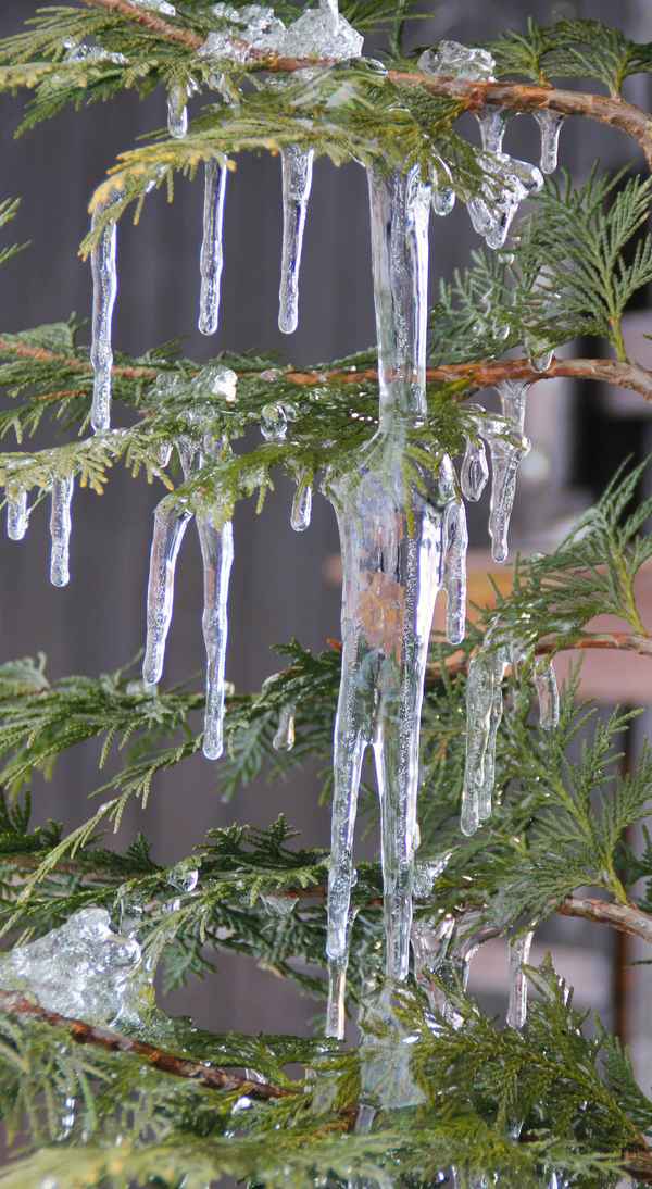 Bald ist Weihnachten...