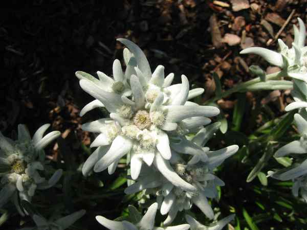 reni06 (20).jpg