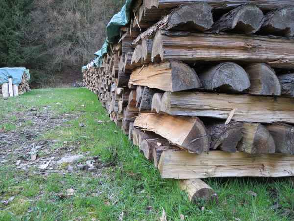 Holzwirtschaft