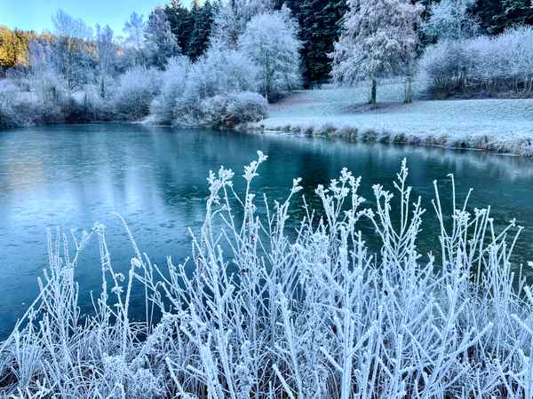 Raureif am schattigen See