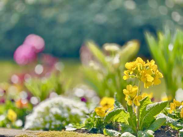  Frühling in Sicht