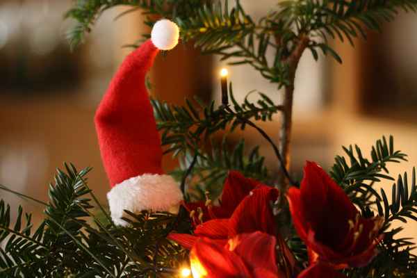 Weihnachtsmütze
