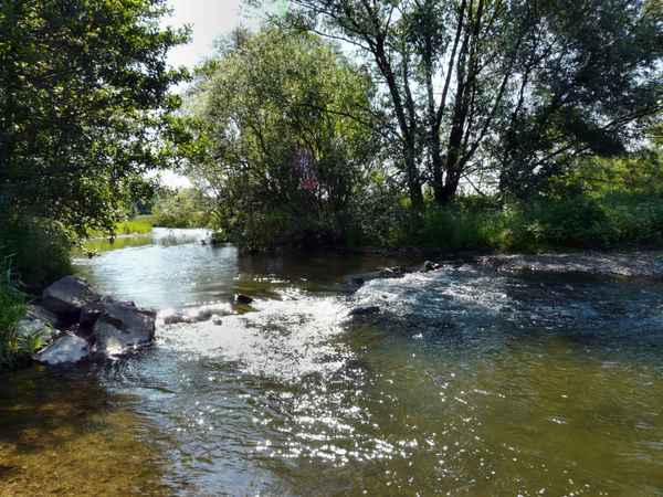 Naturparadies Innerste 10