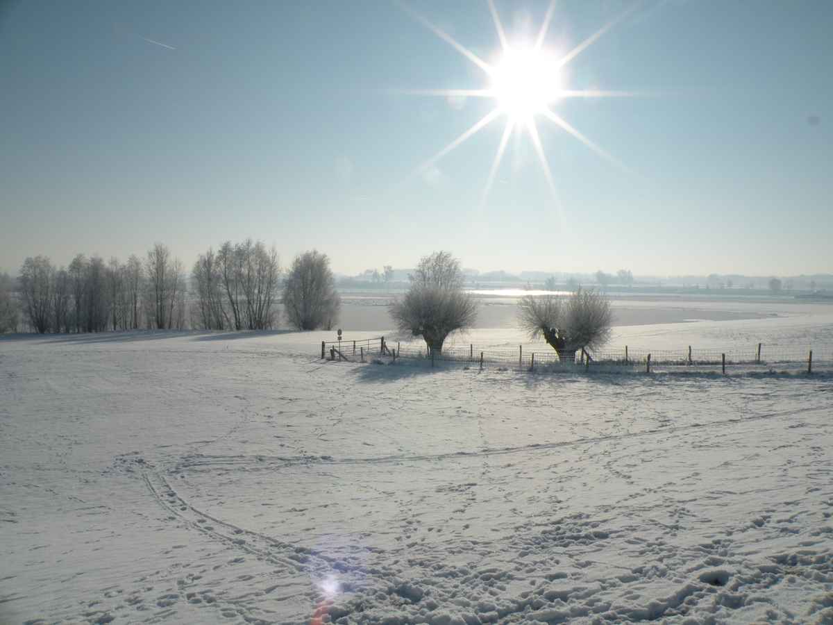 Winterimpressionen 17