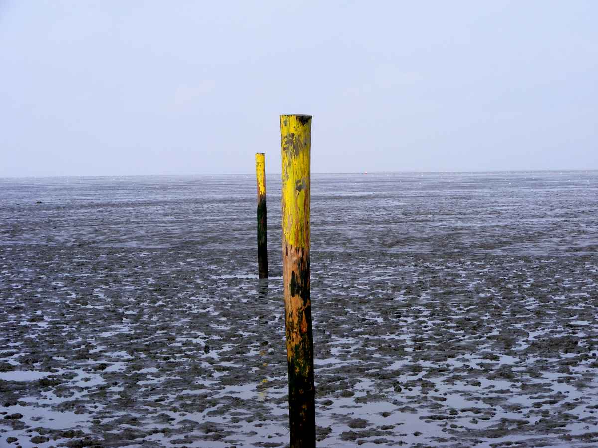 Wattenmeer