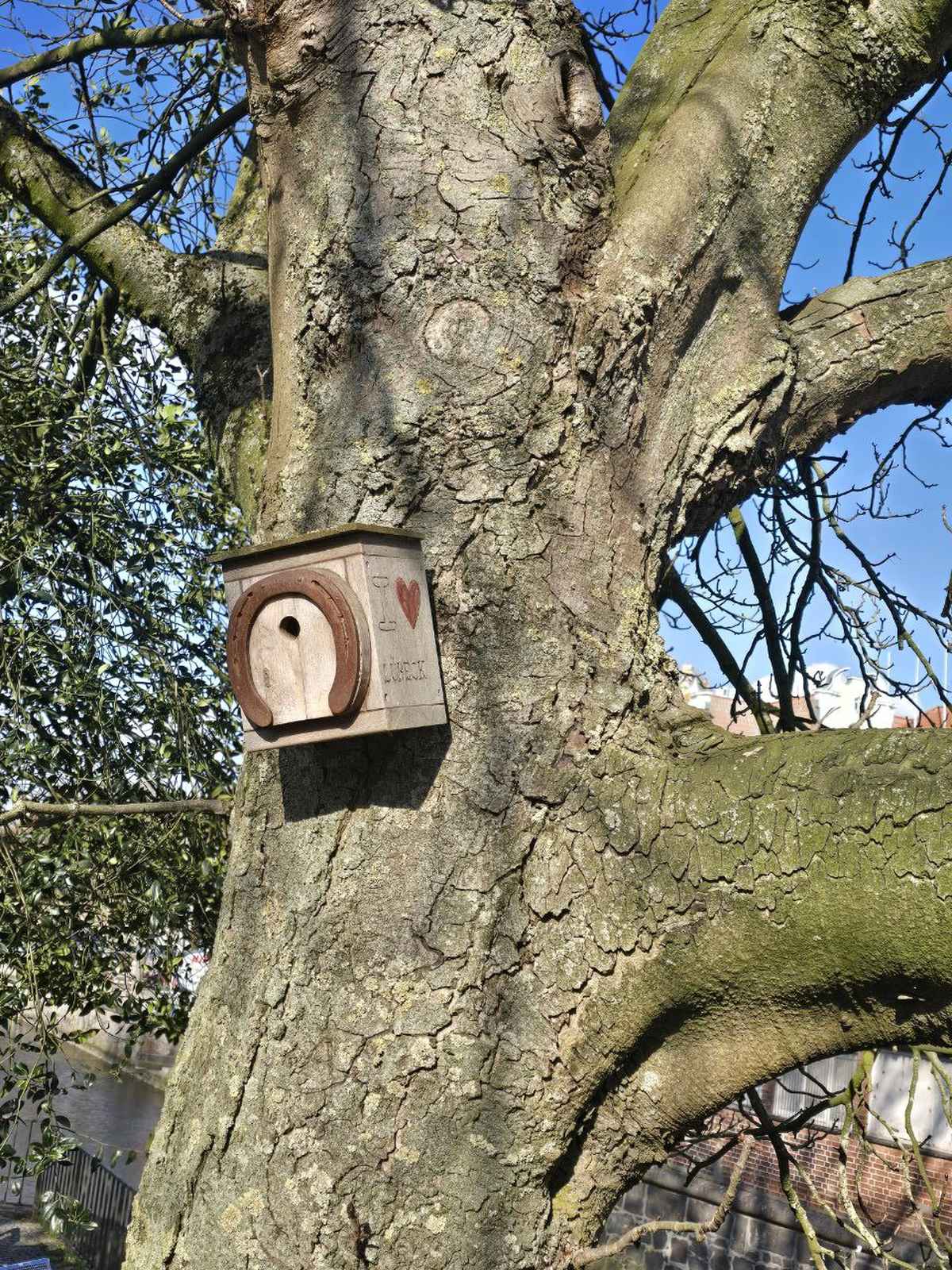 Schönes Vogelhäuschen