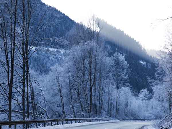 Winterimpression