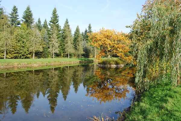 Herbstliche Spiegelung