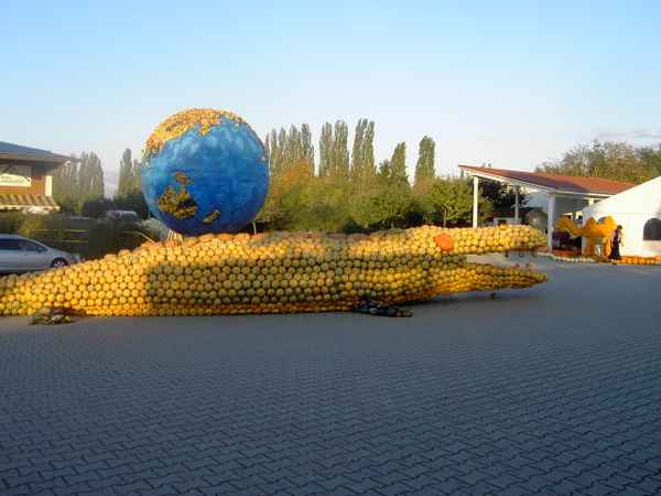 Krogodil aus Kürbissen