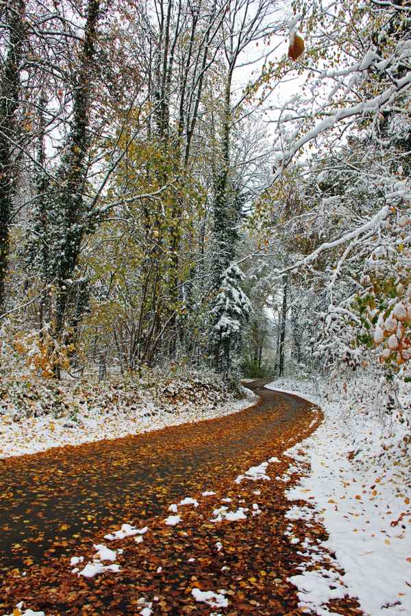 Winterweg