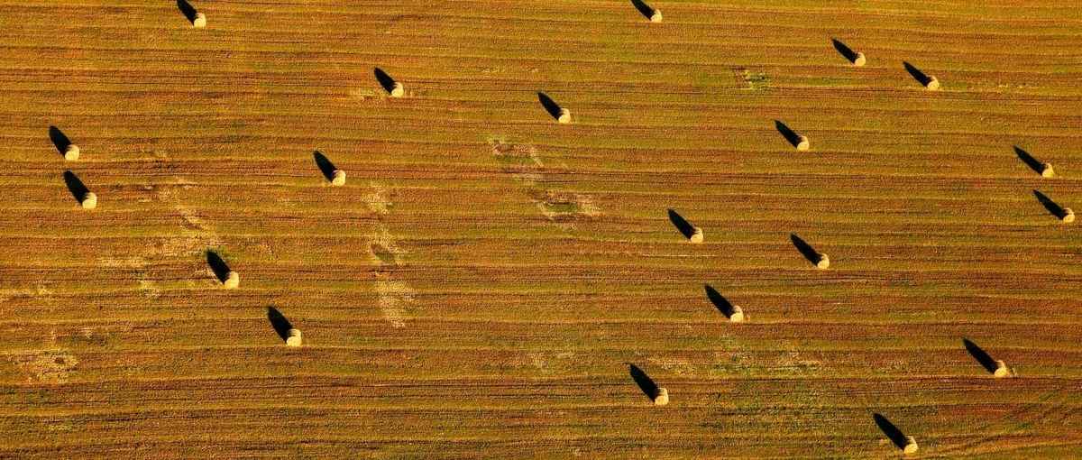 Acker mit Heuballen - Luftbild