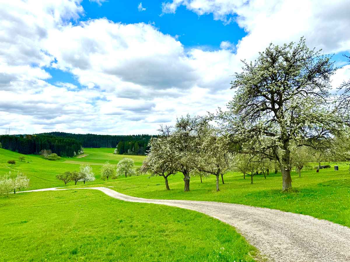 Weg in den Frühling