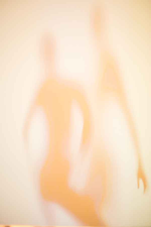 Weiche Silhouetten (beige) 03