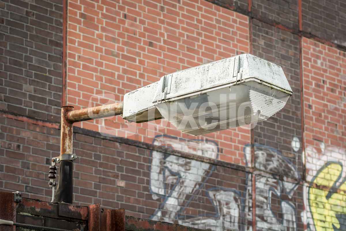 Die letzte Ihrer Art