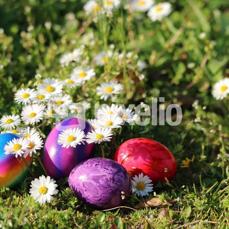 Frohe Ostern