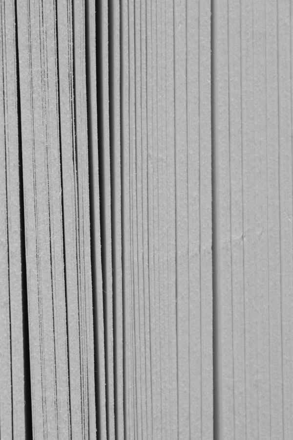 Buchseite 5 sw