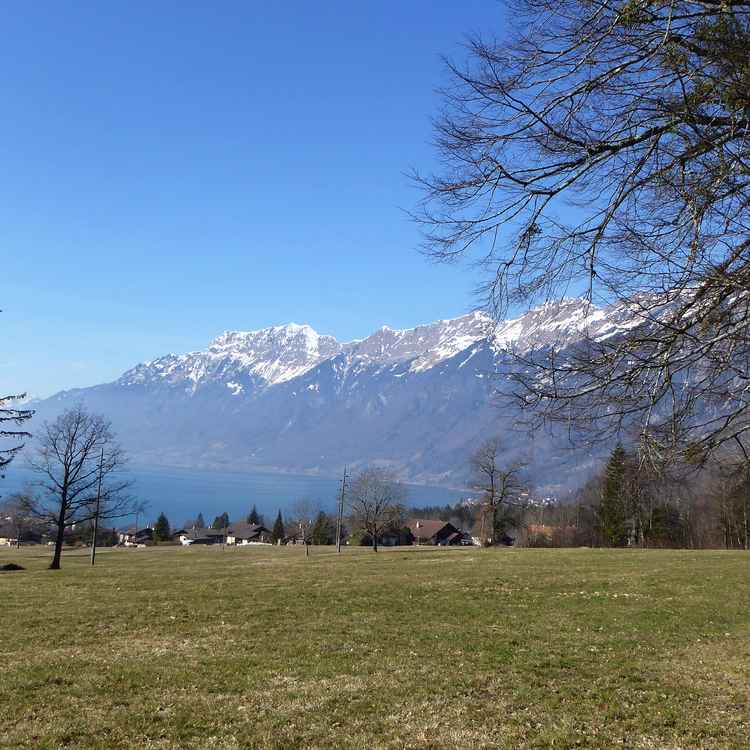 Bald ist wieder Frühling