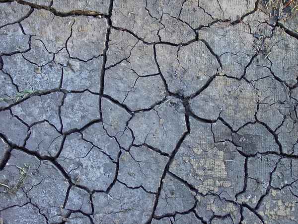 Risse im trockenen Lehmboden