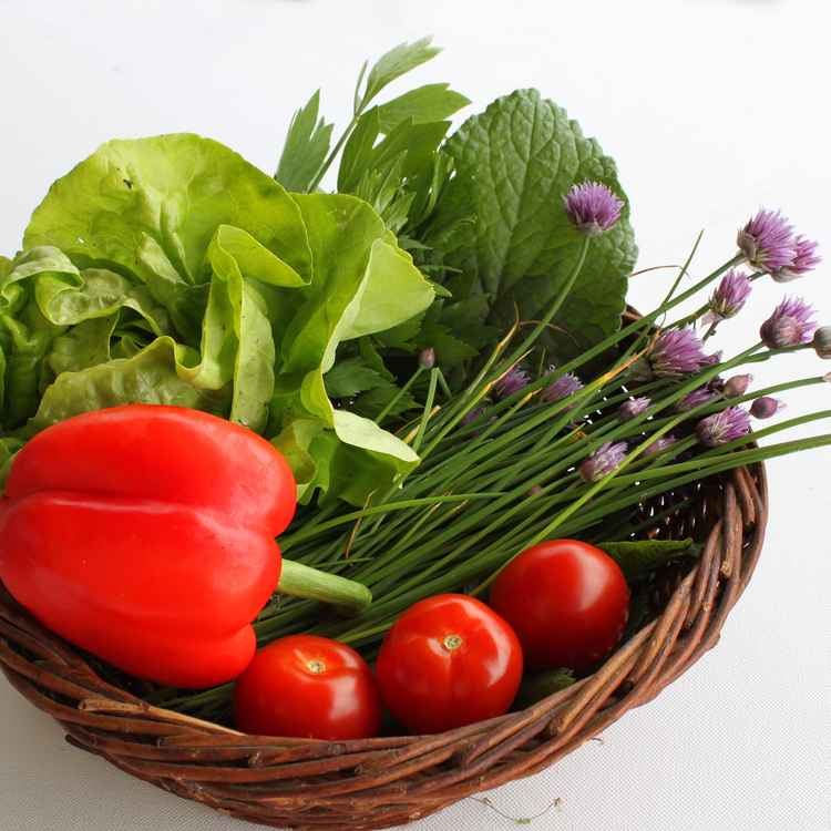 Frisch aus dem Garten