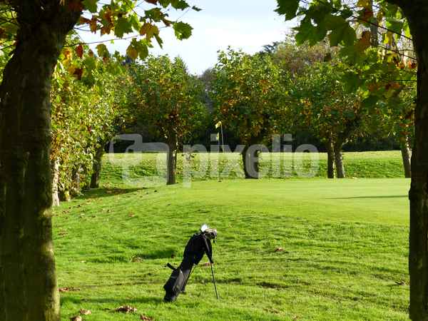 Golfen im Herbst