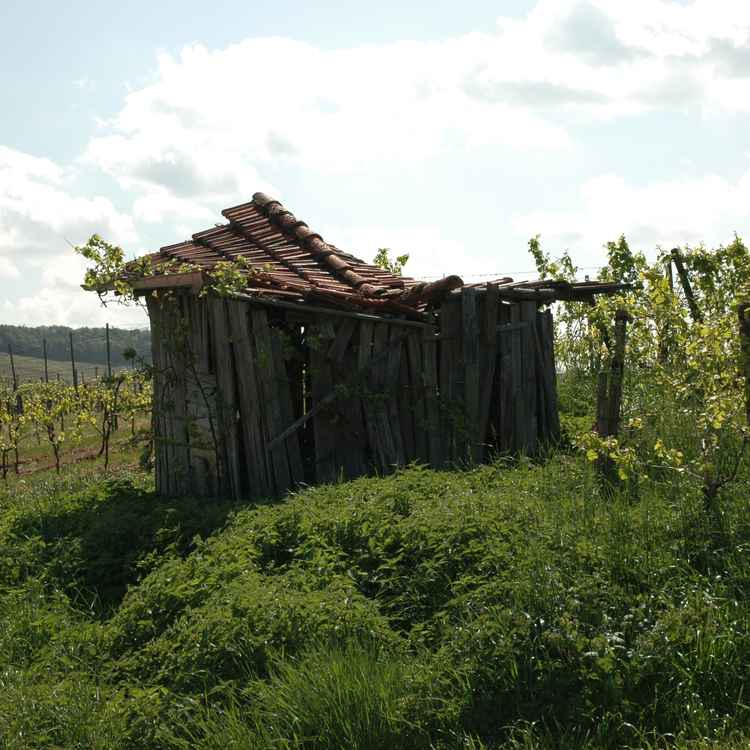 Weinberhütte - kurz vor dem Einsturz