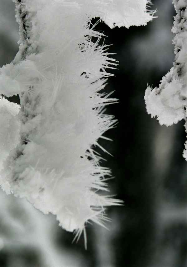 Winter ..