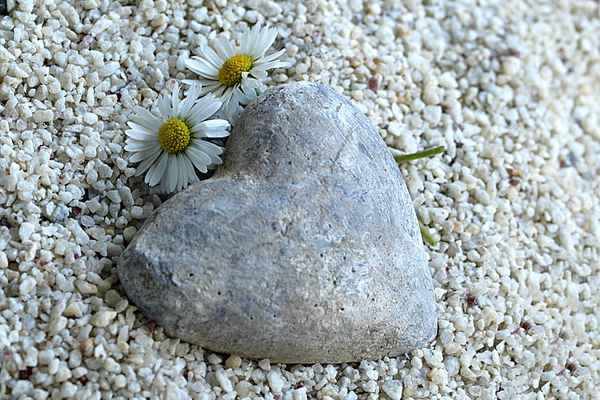 Lass dein Herz erweichen