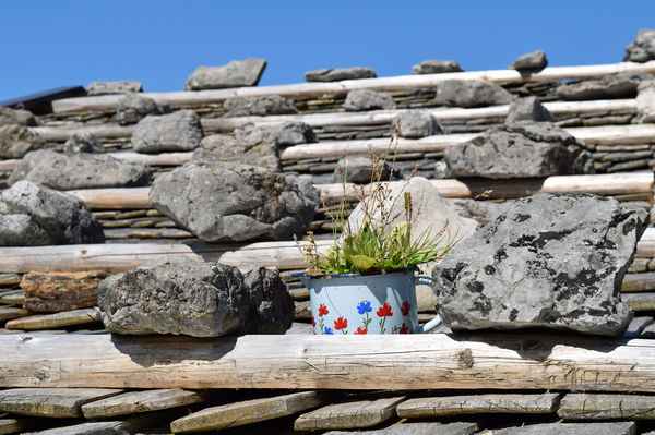 Jedem Dach sein Töpfchen