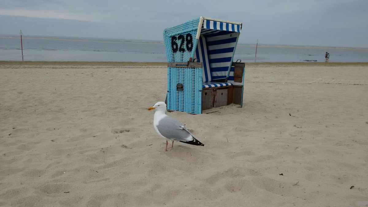 Ganz allein...