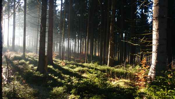 die Sonne geht unter