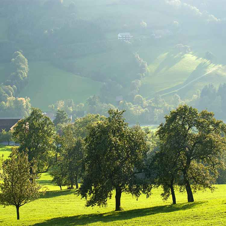 Herbstlich