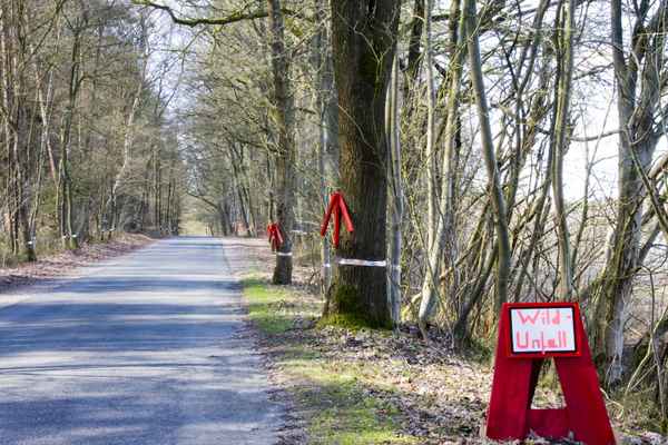 Wildunfall / Unfallstellen