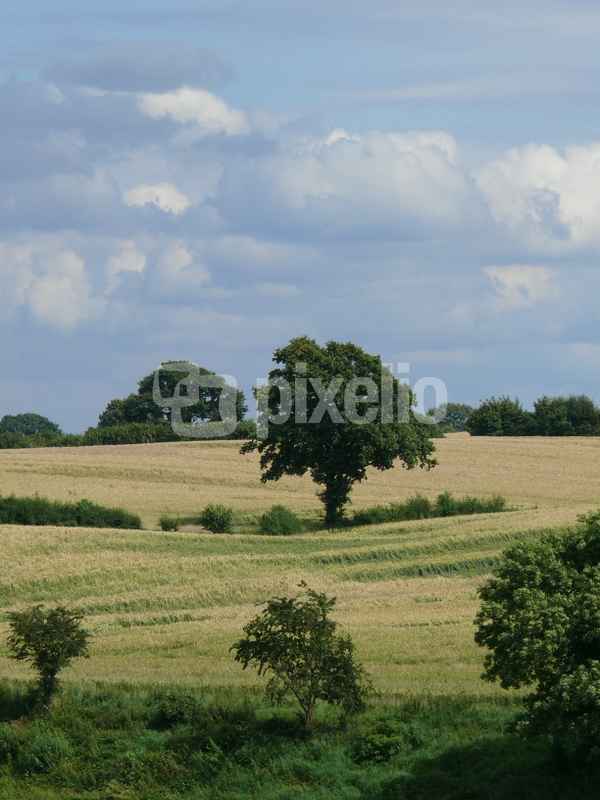 Hügel 3
