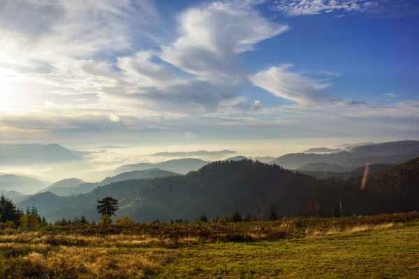 Schwarzwald - Dramatik im Herbst