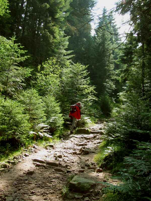 Westweg-Wanderer_hoch