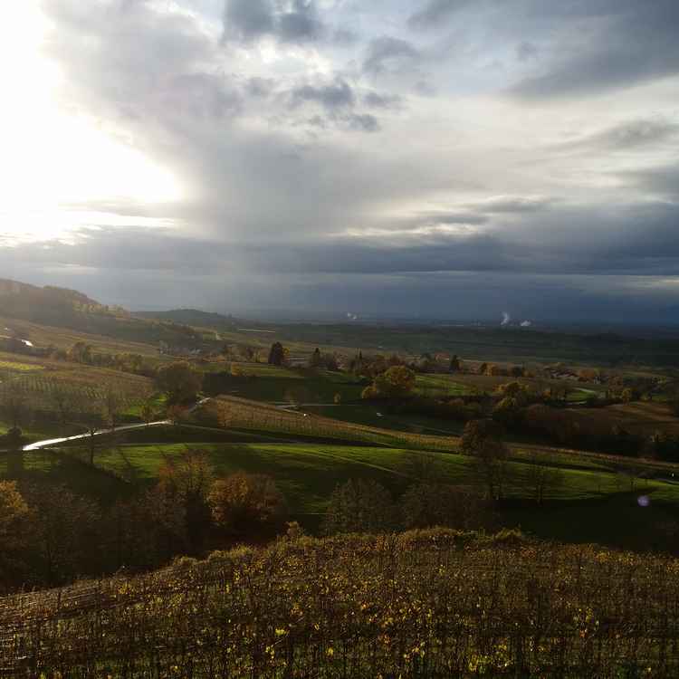Nach dem Regen
