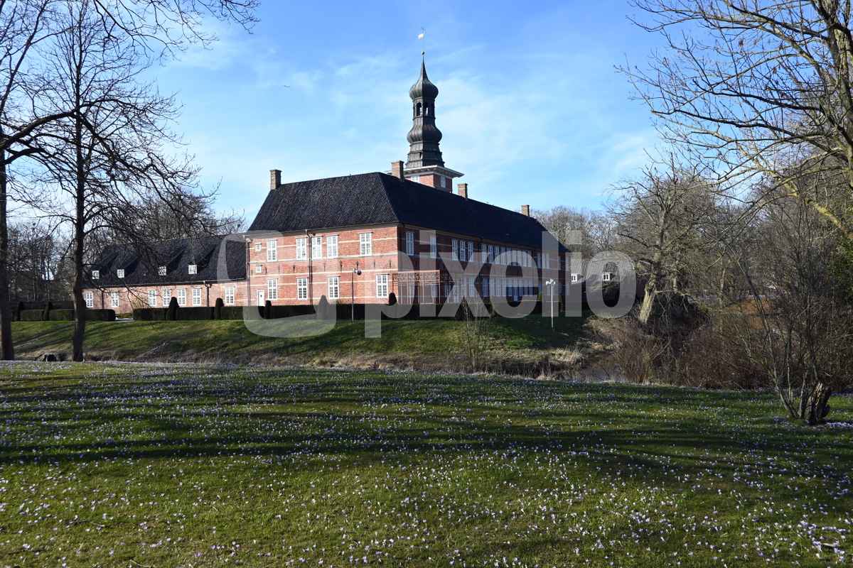 Husumer Schloß bei der Krokusblüte 2