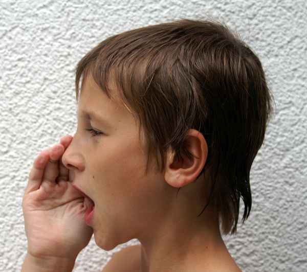 Halloooo... Echo ....