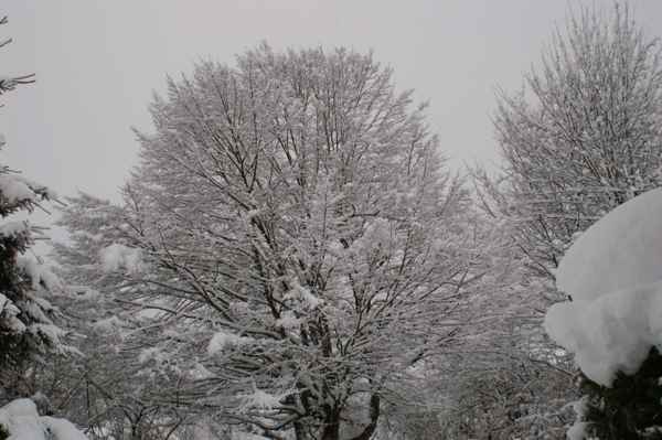 Himmel voller Schnee