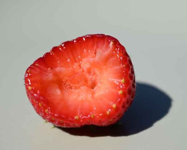 Erdbeere