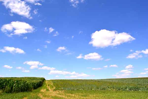 Sommerwetter