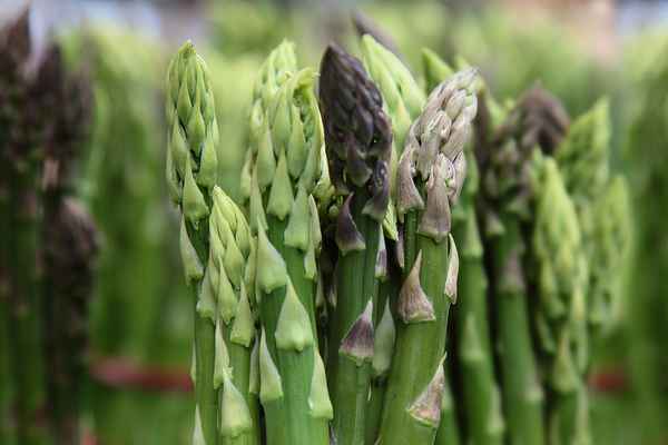 Grüner Spargel