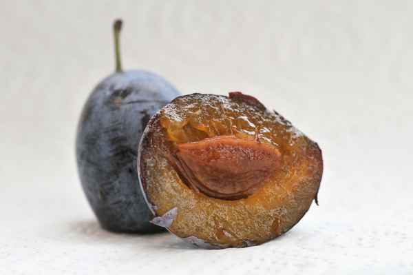 Pflaumen