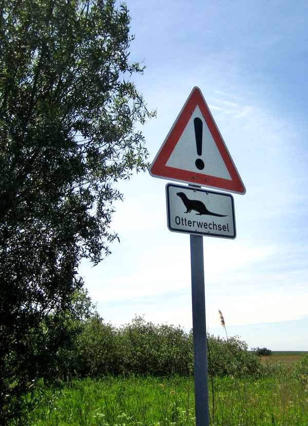 Besondere Verkehrsteilnehmer