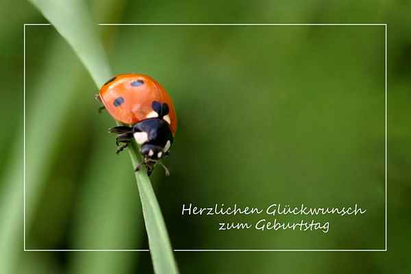 Herzlichen Glückwunsch zum Geburtstag