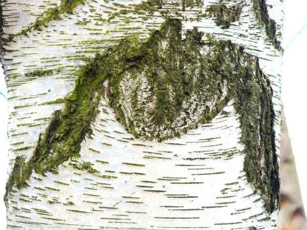 Osterhase anders