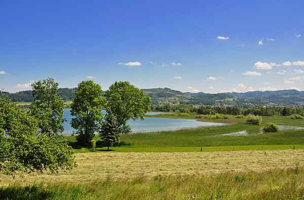 Naturschutz am Pfäffikersee